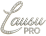 Lausu Pro - Home